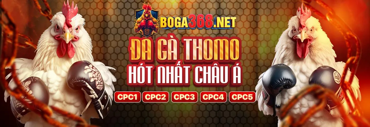 Đá Gà Thomo Nổ Hũ 2026